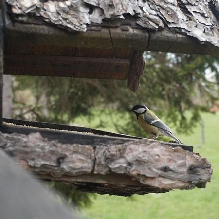 Tilia Cottage Banjska Stena Mitrovac Eksteriør billede