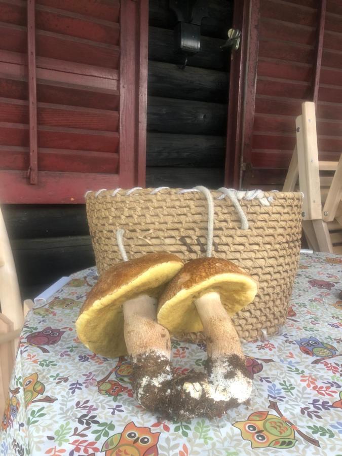 Tilia Cottage Banjska Stena Mitrovac Eksteriør billede