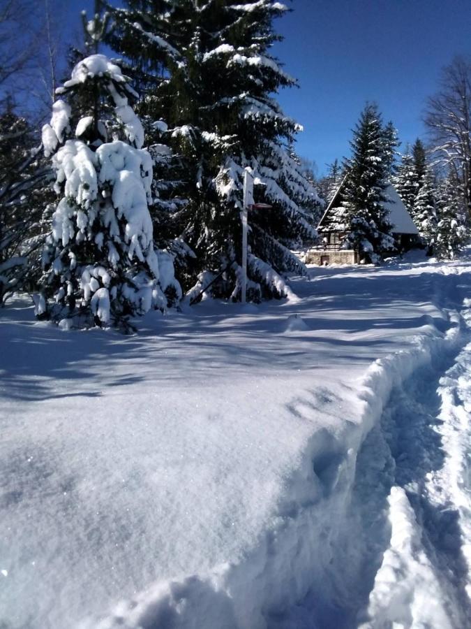 Tilia Cottage Banjska Stena Mitrovac Eksteriør billede